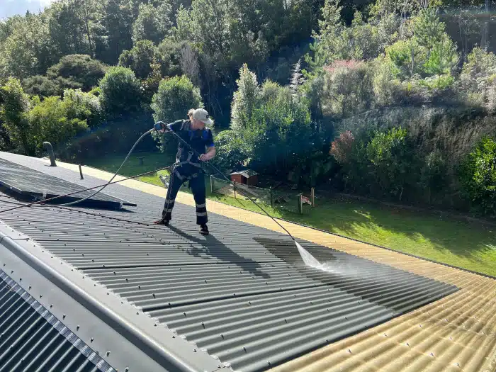 Professional Roof Pressure Washing