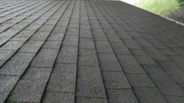 Professional Roof Cleaning Services