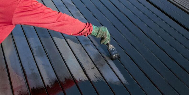 Professional Roof Painting Services