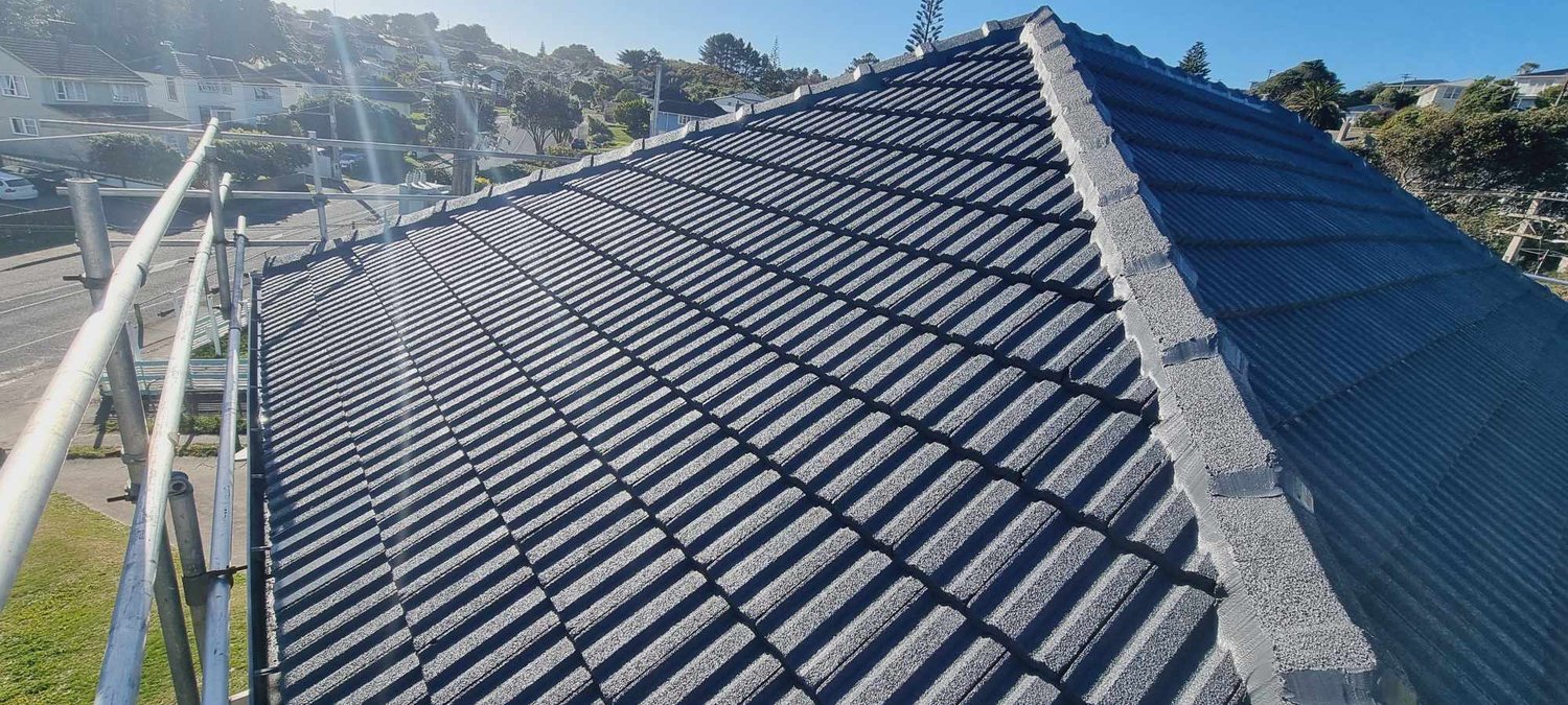 Professional Roof Restoration Services