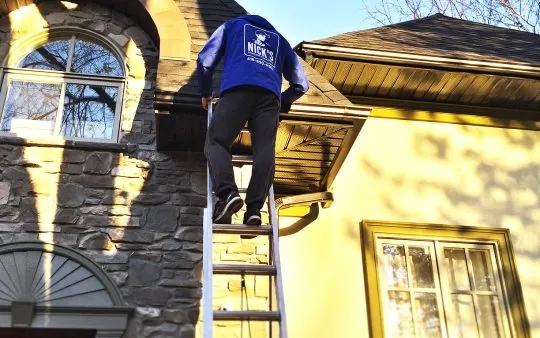 Eaves Cleaning